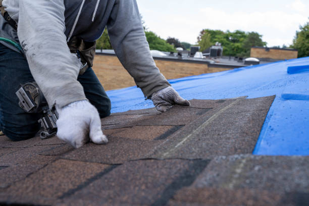 Best Best Roofing Contractors  in Sandusky, MI