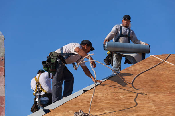 Best Best Roofing Contractors  in Sandusky, MI