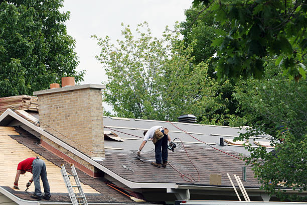 Best Roof Gutter Cleaning  in Sandusky, MI