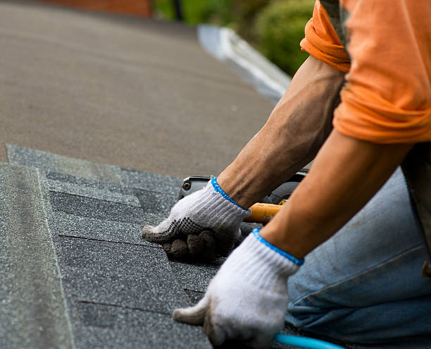 Best Residential Roofing Contractor  in Sandusky, MI